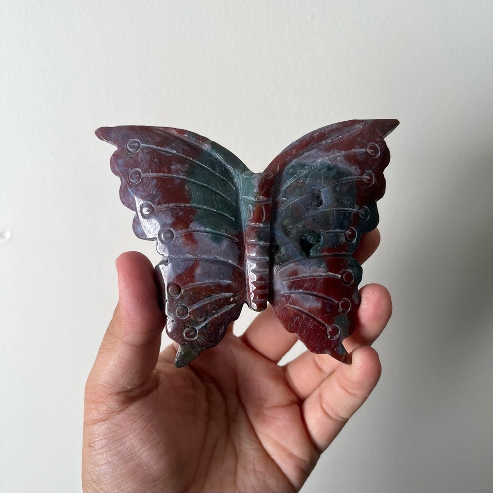 Sea jasper butterfly